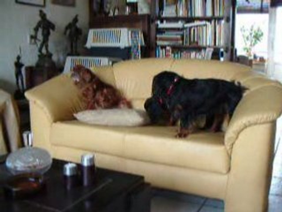 Mady-Odin-Layla