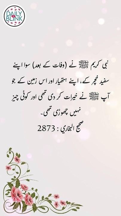 Daily Hadees | Hadees Sharif | Sahih Bukhari 2873 || Daily Blink #shorts #hadees #hadith