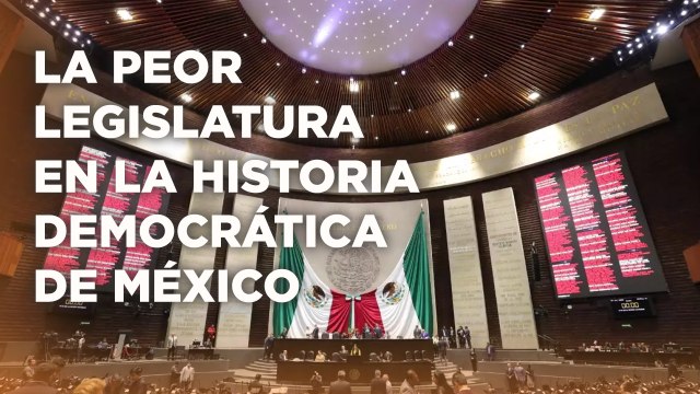 ¿Los legisladores son un chiste mal contado? Ni discutieron las comas de las reformas ITodo Personal