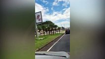 Passageira de carro filma briga de trânsito em Curitiba