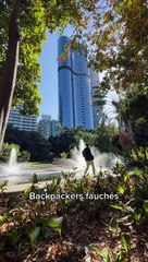 Découverte de Brisbane : Activités gratuites pour une deuxième journée inoubliable 🌟