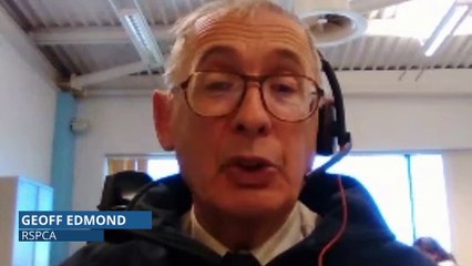 Geoff Edmond speaks about worrying videos of teens killing wildlife on social media