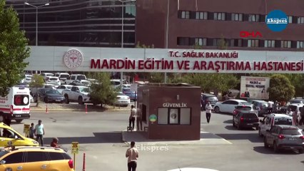 Mardin’de sokak köpeği çocuğu parçaladı