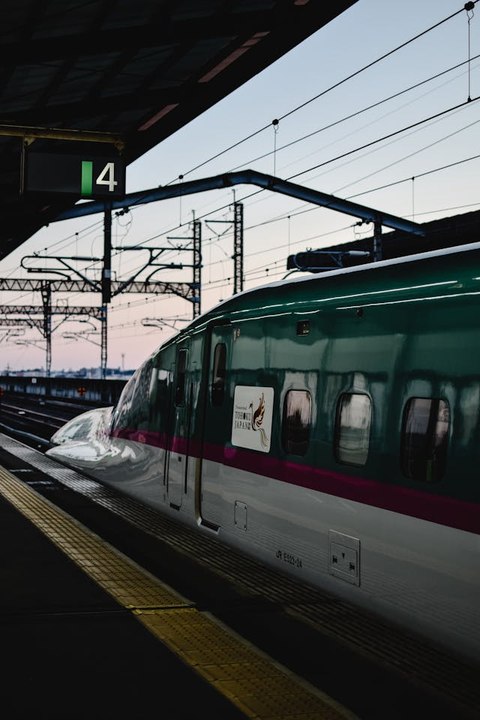 Un Serpent dans le Shinkansen? (Exclusivité Dailymotion)