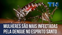 Mulheres são mais infectadas pela dengue no Espírito Santo