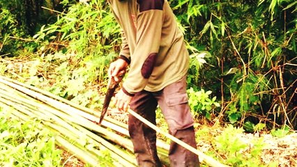 DEMI LINDUNGI KELUARGA, PAK SUTIKNO BUN_H ANAKNYA YANG SUKA MABUK !