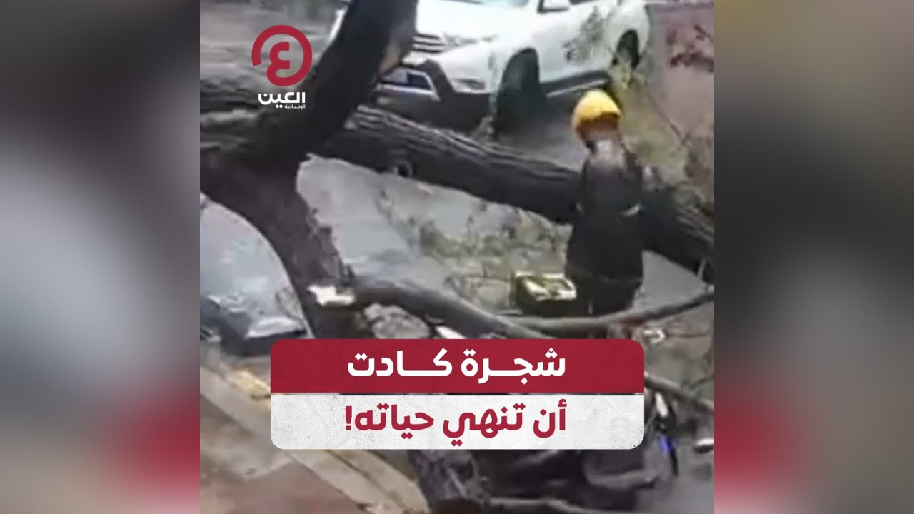 شجرة كادت أن تنهي حياته!