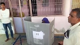 GANDHINAGAR PETHAPUR SENIOR CITIZEN VOTING FOR LOK SABHA 2024 ELECTION