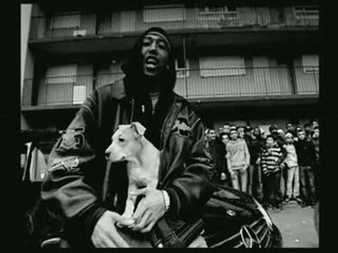 Roi sans couronne RSC de NESSBEAL