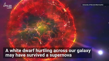 Did This Star Traveling Across The Milky Way Survive a Supernova?