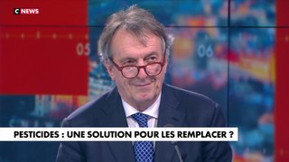 Alain Thibault (Agriodor) : L'Hebdo de l'Éco (Émission du 02/05/2024)