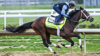 Kentucky Derby Odds: Horses to Watch in the Upcoming Race