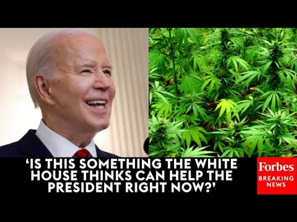 Reporter Grills Karine Jean-Pierre On Biden’s Push To Reclassify Marijuana As A Lower-Risk Drug