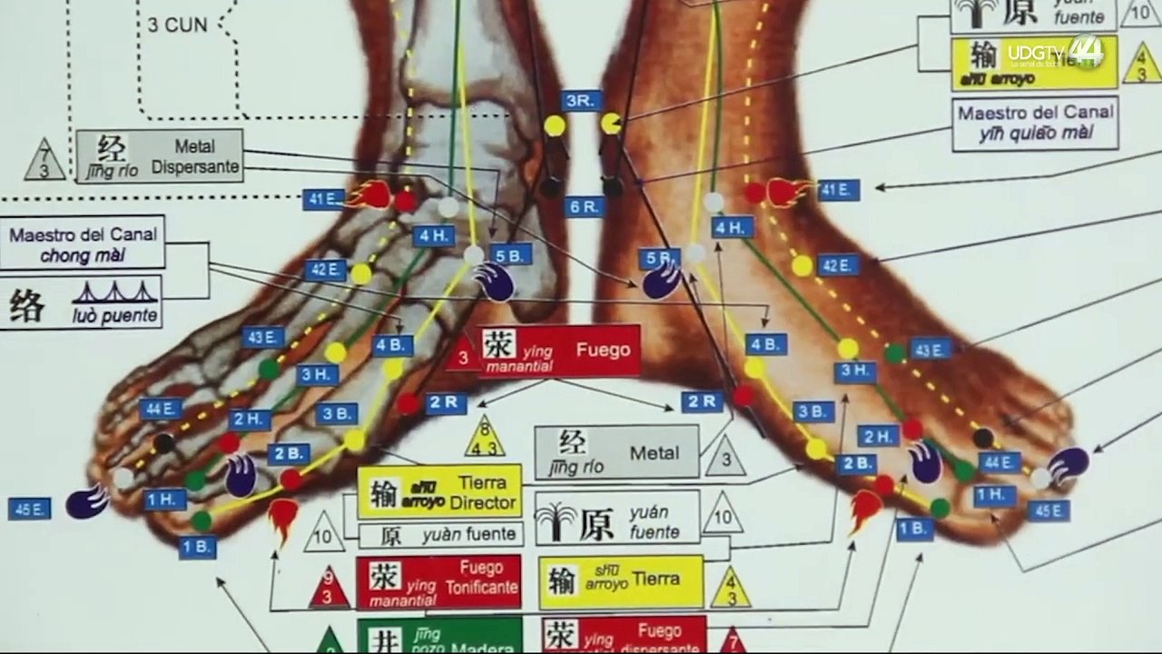 Lavados nasales, una opción para tratar alergias respiratorias