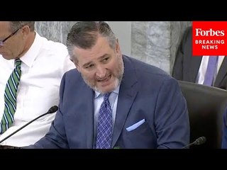 'Has Channeled Hundreds Of Thousands Of Dollars To The Democrat Party': Ted Cruz Slams Key Nominee
