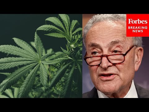 Chuck Schumer Praises Marijuana Law Reform, Claims It Will End 'Harmful And Failed War On Drugs'