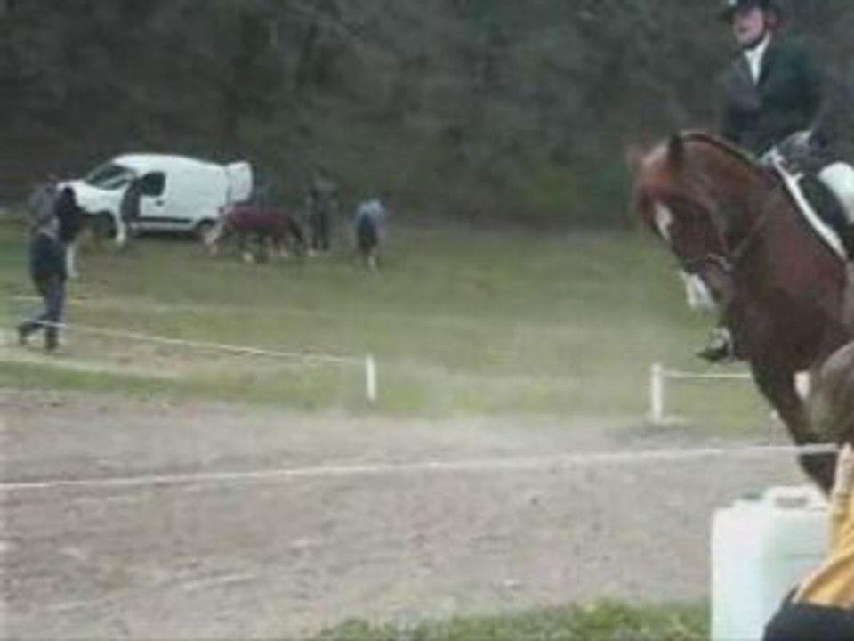 Premier dressage djoly