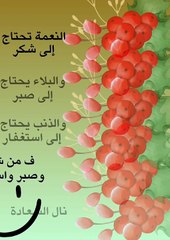 الحمدلله واستغفر الله العظيم واتوب اليه