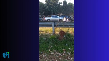 Engavetamento envolvendo 5 carros provoca lentidão na Washington Luís