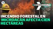 Continúa el incendio forestal en Parque Nacional  de Michoacán | Reporte Indigo