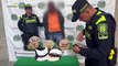 Cogieron a hombre que pretendía enviar 1 kilo de cocaína camuflada en 31 gorras