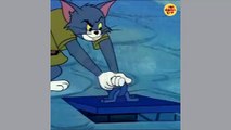 Jerry Junior Vs Tom | Tom and Jerry | Tom & Jerry | Cartoons For Kids | Cartoon Videos |