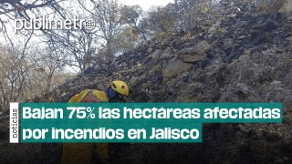 Bajan 75% las hectáreas afectadas por incendios en Jalisco