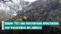 Bajan 75% las hectáreas afectadas por incendios en Jalisco