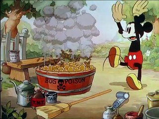 Jardim do Mickey 🌸