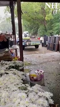 Mother's Day flowers at Little Tin Shed Medowie | Newcastle Herald | May 3