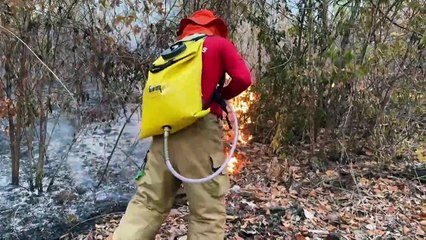 Brasil registra recorde de incêndios florestais entre janeiro e abril