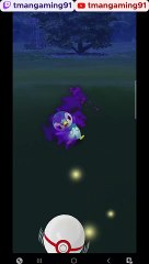 Pokémon GO-Shadow Piplup