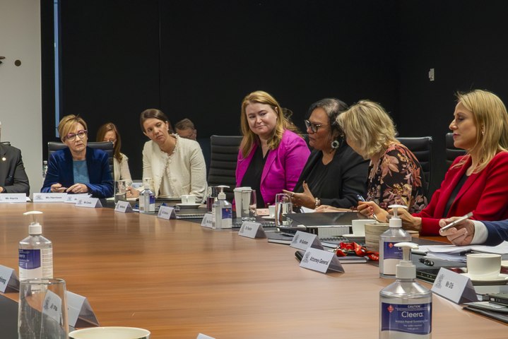 The special cabinet meeting included expert guests, including 2015 Australian of the Year Rosie Batty. Footage: supplied