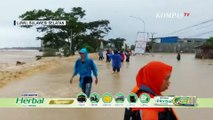 6 Kecamatan di Kabupaten Luwu Terendam Banjir, Begini Situasinya