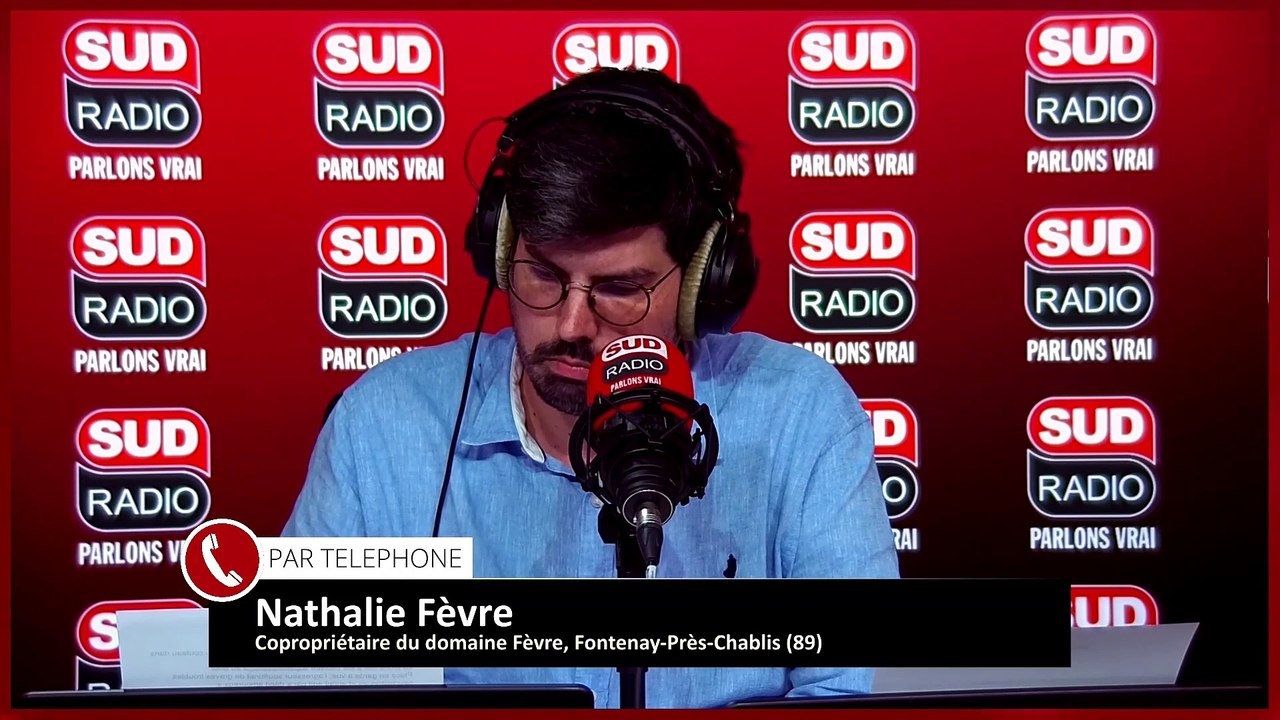 "C'est un désastre" : Dans l'Yonne, les viticulteurs constatent de gros dégâts après les orages