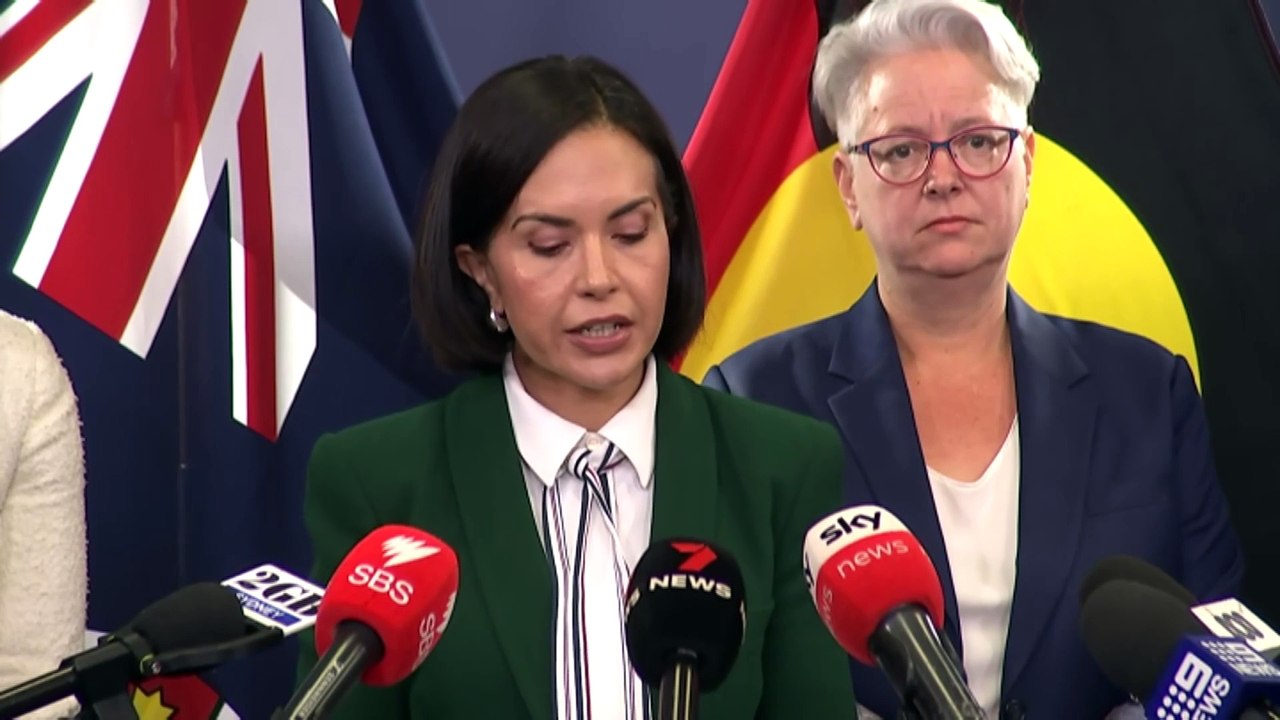 NSW government to unveil emergency domestic vio...