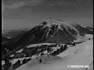 Trentino  animali sulla neve  2002