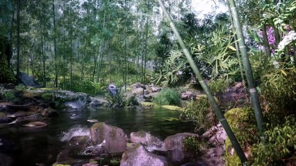 Immortality Episode 29: Unveiling New Secrets 🔥