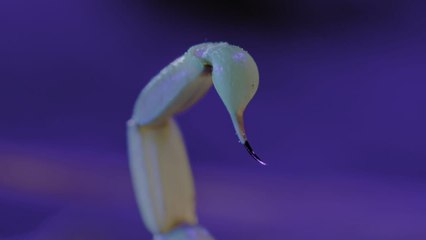 Les secrets de l'évolution