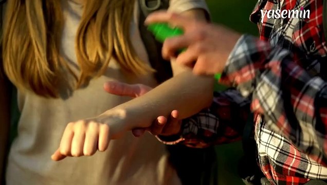 Kene veya böcek ısırmasına ne iyi gelir? Kene veya böcek ısırması durumunda yapılması gerekenler