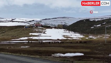 Ardahan'da bahar ve kış bir arada