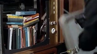 Fahrenheit 451 (François Truffaut (1966) VOST ES
