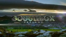 Gogglebox Ireland S03E02 (2017)