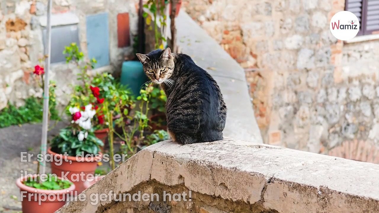 Katzenbesitzer stirbt: Als die Retter den Microchip scannen und sind total verblüfft!