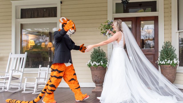 Bride Whose Dad Was Clemson Tiger When He Met Her Mom Gets Surprised By The Mascot On Wedding Day | Happily TV