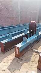 Excellence: ZS Mayo Engineering’s Comprehensive Services ️