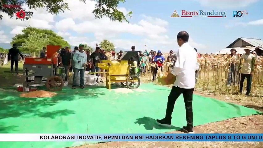 Presiden Jokowi Tinjau Panen di Sumbawa