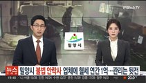 밀양시 '불법 안락사' 위탁업체에 혈세만 한 해 1억원…관리는 뒷전