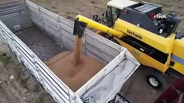 Adana'da zararına hasat başladı, yılın ilk fiyatı belli oldu: Çiftçi perişan oldu!