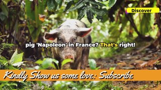 10 Unbelievable Facts Only Found in France